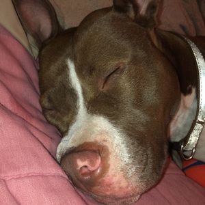 Meet your Posher, Serena